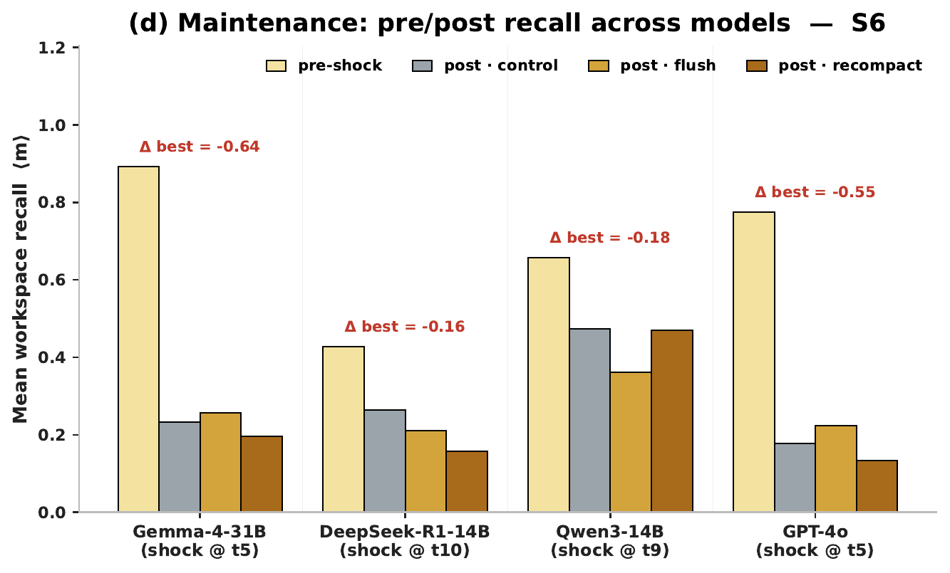 S6 maintenance shock recovery shapes for flush, recompact, and early-shock variants.